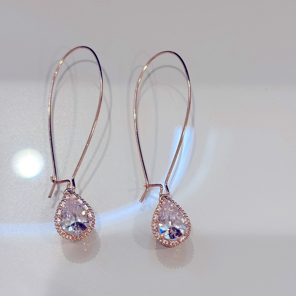 NWOT Express Cubic Zirconia Halo Teardrop Earrings